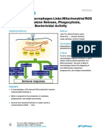 Mitofusin 2 in Macrophages Links Mitochondrial ROS Production, Cytokine Release, Phagocytosis, Autophagy, and Bactericidal Activity