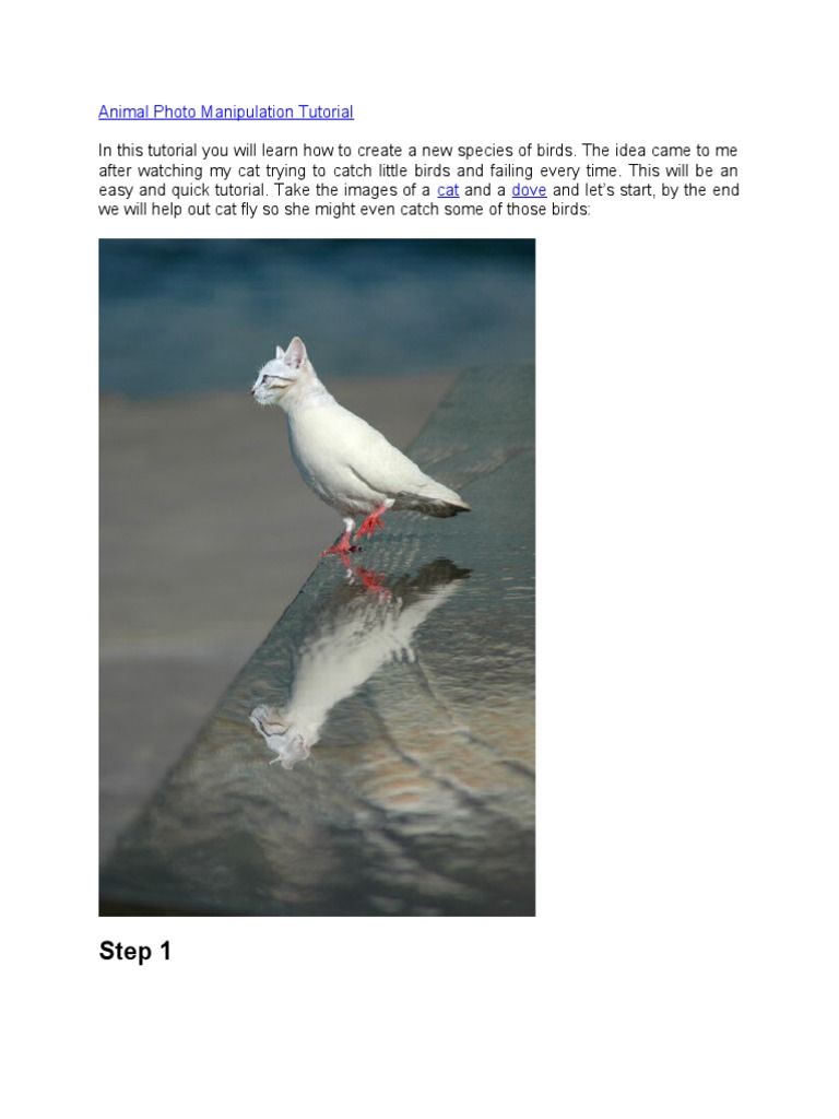 Animal Photo Manipulation Tutorial | PDF | Adobe Photoshop | Computer