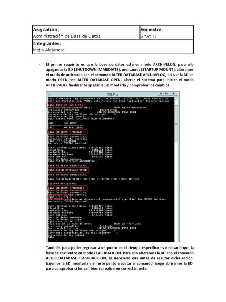 Flashback Database | PDF | Informática | Tecnologías de la información