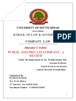 Public vs Private: Key Differences in Company Types