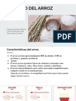Proceso-del-arroz.pdf