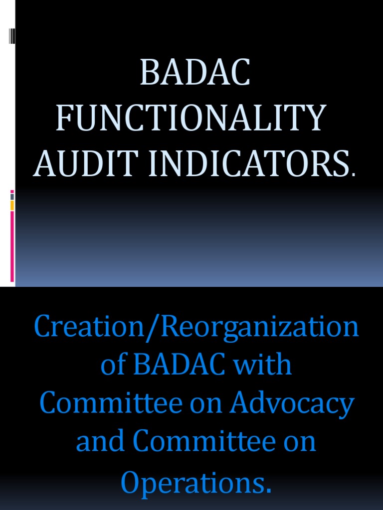 Badac Functionality Audit Indicators Pdf Policy Justice