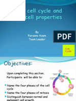 Cell Cycle (Rubina)