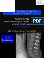 05 AFeydy_Sémiologie TDM IRM squelette axial_Optionnel DES MN_16&170518.pdf