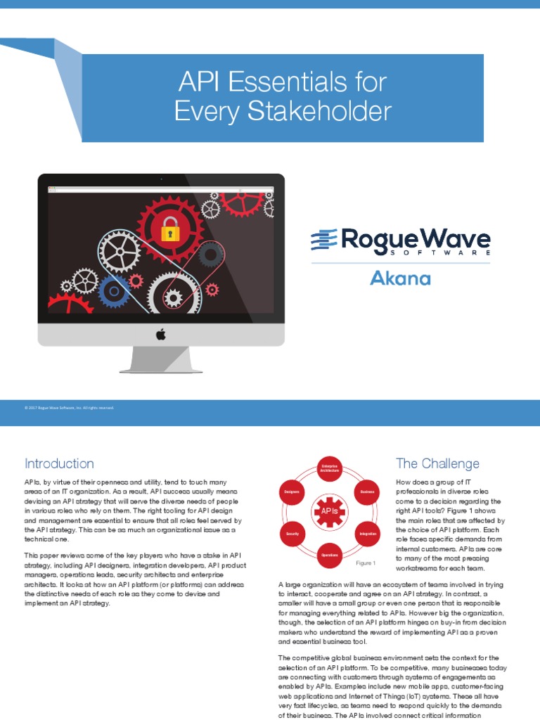 API Essentials For Every Stakeholder | PDF | Application Programming ...