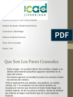 Pares-Craneales-Juan-Carlos-A.S (2).pptx