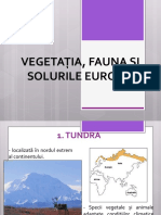 Vegetatia Si Fauna Europei