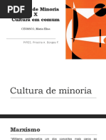Cultura de minoria X cultura em comum