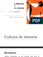 Cultura de Minoria X Cultura em Comum