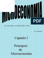 Micro Economia