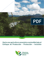 Agricultura Amazonica Sostenible v2