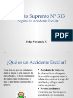 Decreto Supremo #313