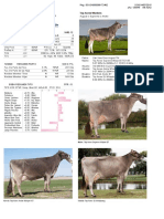 Dairy Bull - 151BS01409 - Top Acres Wizdom.pdf