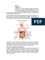 El aparato digestivo