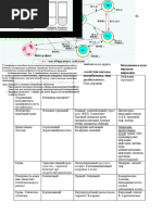 MIKRA41-80.docx_0.odt