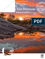 Cape York VG PDF