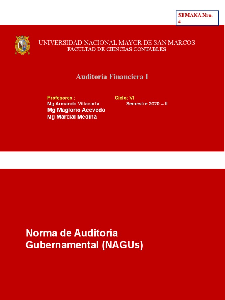Normas y Principios de Auditoría Financiera | PDF | Auditoría | Contralor