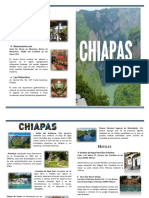 Diptico Chiapas