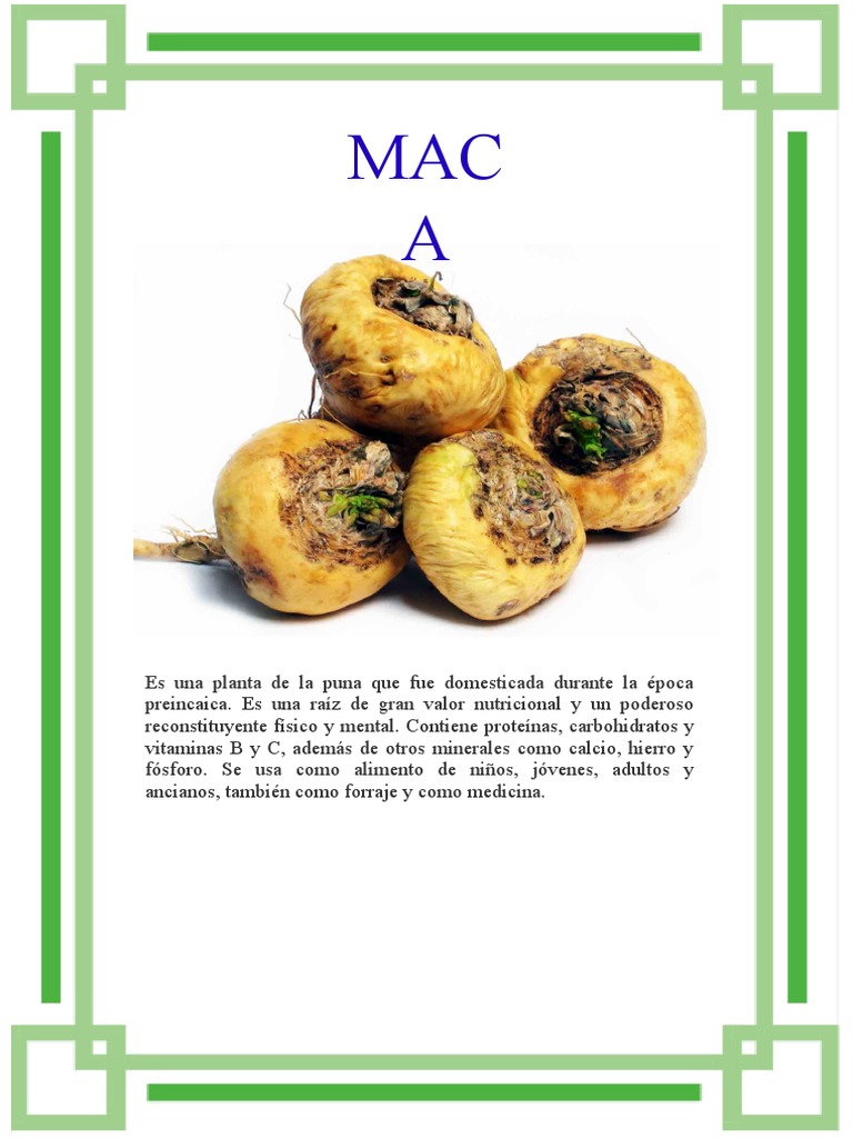 QU PLANTAS NATIVAS HAY EN TU LOCALIDAD PER visual data 2