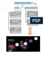 Teoria de Los Receptores