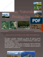 Áreas Naturales Protegidas Final