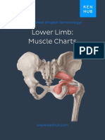 KENHUB-Lower Extremity Anatomy.pdf