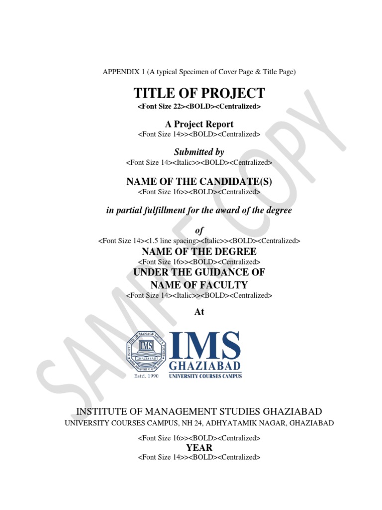 Project Report Formatting Guidelines | PDF | Specification (Technical ...