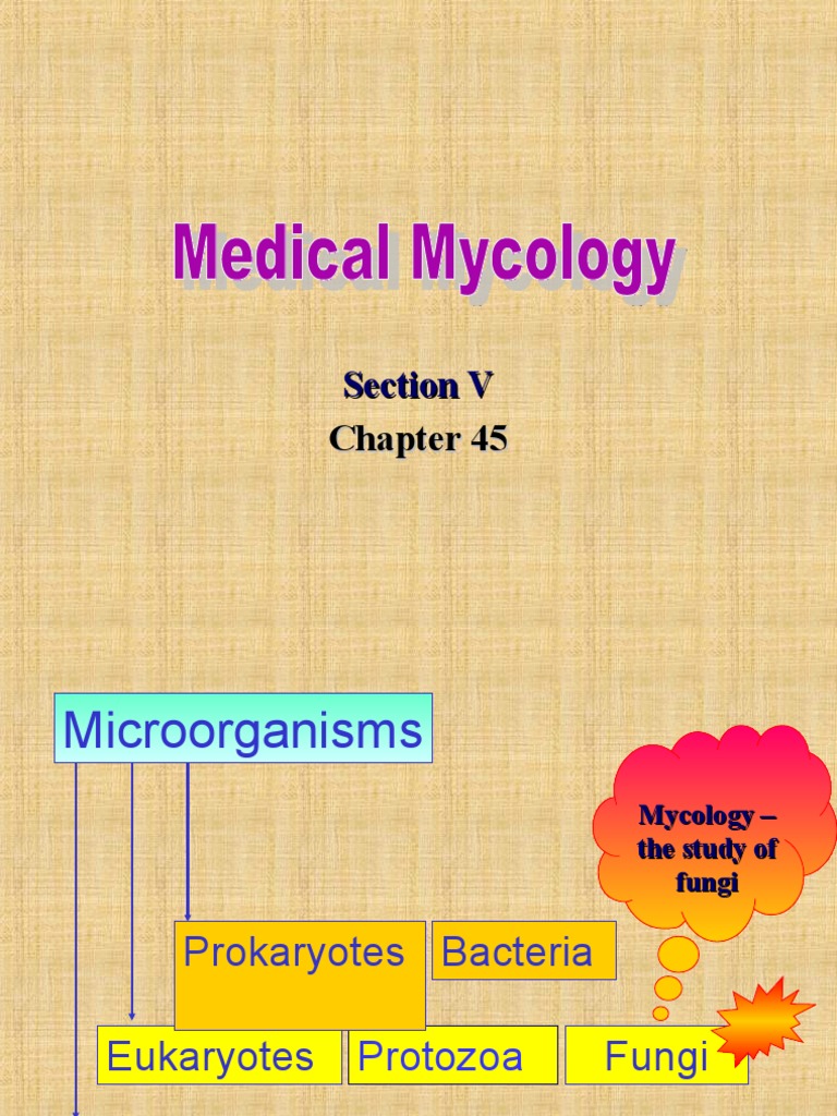 Ch45 Med Mycology 2017 2 Pdf Spore Fungus