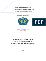 Laporan Praktikum Sistem Pencernaan Pada Ikan