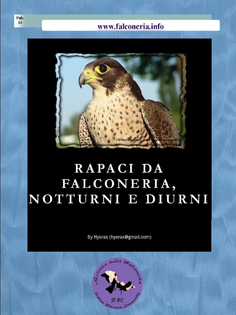 Cosa ci insegna il gheppio di Mauritius sulle reintroduzioni in natura -  Notizie ambientale, image size:768x1024