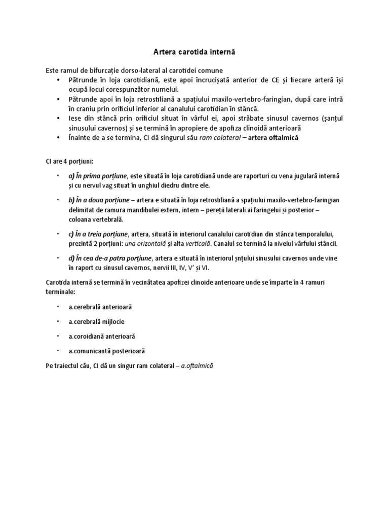 Artera Carotida Internă | PDF