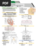 5.11 Normal Ecg, Chamber Enlargements, Ischemia, Infarcts: TH TH