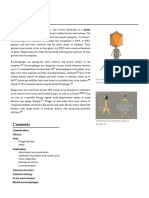 Bacteriophage: Classification History Uses