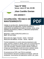 Pase #B54: Liñan Castillo Donian