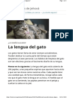 Lengua Del Gato Casualidad o Diseno PDF