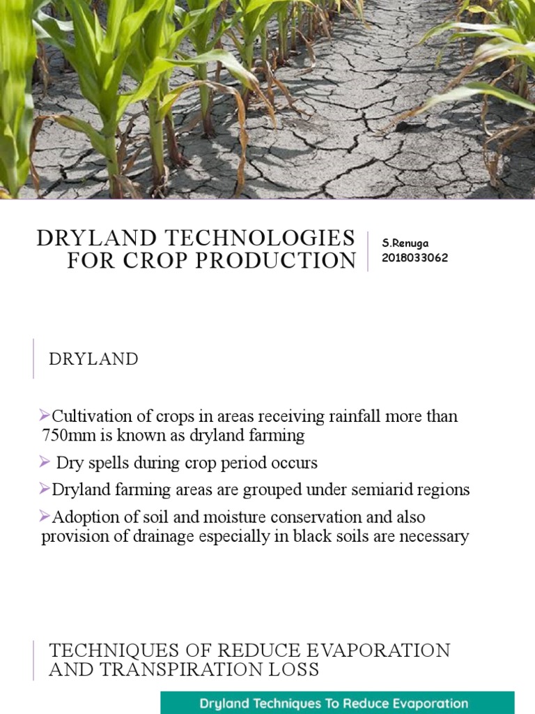 Dryland Technologies in Crop Production | PDF | Mulch | Soil