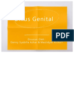 PDF Ulkus Genital