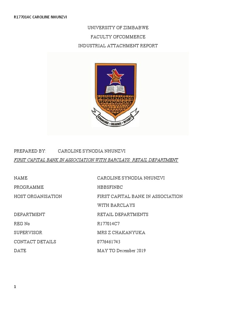 Caroline Report | PDF | Debit Card | Banks