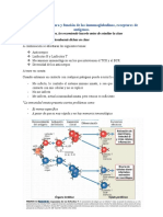 Anticuerpos, receptores de antígenos y estructura de las inmunoglobulinas