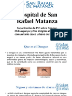PIC Dengue Zika Chik Hospital de San Rafael Matanza