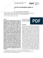 Lygodium Japonicum Fern Accumulates Copper in The Cell Wall Pectin
