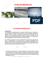 Flotación.pdf
