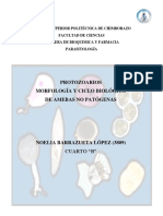 Amebas No Patogenas PDF