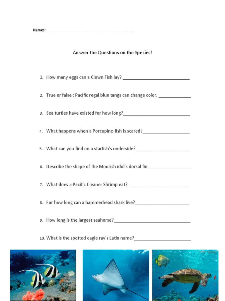 Finding Nemo Questions PDF