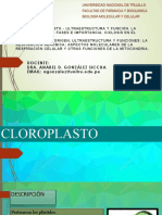 IF-4 cloroplasto y mitocondria.pdf