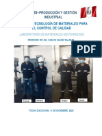 C12B Tecnologia de Materiales. Materiales Ferrosos PDF