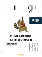 O Guaxinim Guitarrista