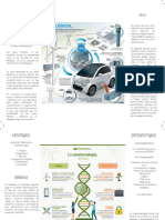 Tipos Importancia para El Desarrollo Sostenible