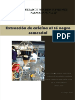 PDF Extraccion Cafeina DD