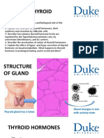 H-P Axis Regulates Thyroid Hormone Synthesis & Metabolism